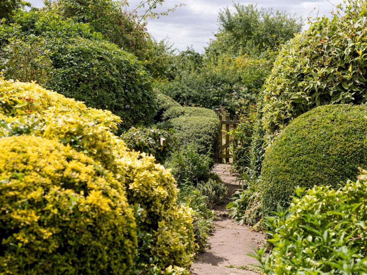 Pass The Keys Cosy Cottage With Views Over The Shropshire Hills 勒德洛 外观 照片